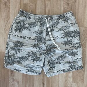 Quiksilver Gray Palm Print Shorts
